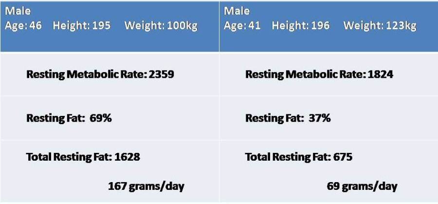 Basal Metabolic Rate And Weight Loss