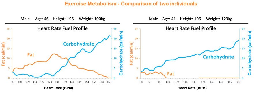 Exercise-Metabolism-Compari.jpg